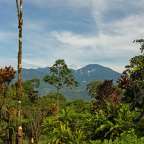 Landschaft bei Bijagua de Upala