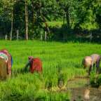 abseits der Touristenpfade: Tan Quoi