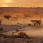 Kalahari Wüste in Südafrika