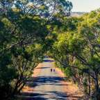 Shiraz Trail