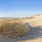 Strand bei Hvide Sande