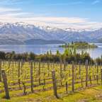 Weingut in Wanaka