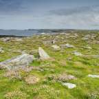 vor 5.000 Jahren war hier ein Dorf: Céide Fields