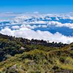 Wälder und Vulkane: Zentrales Hochland