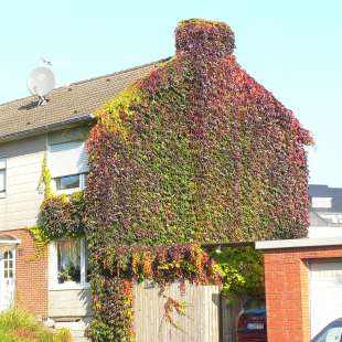 1998 erstes Umfulana Büro in Kürten: Kinderzimmer