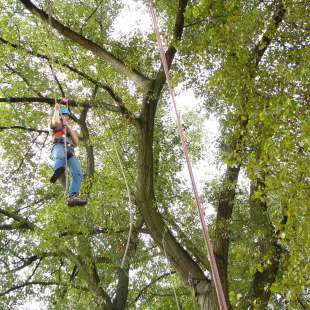 Umfulana – hoch hinaus!