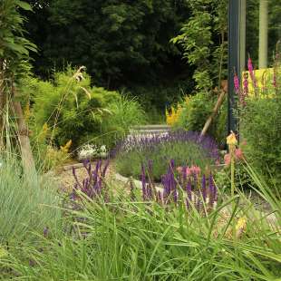 Kleiner Garten am Umfulana-Haus