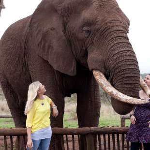 2013 Betriebsausflug Büro Südafrika