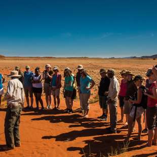 ...und der Guide erklärt die Wunder des Lebens