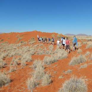 es geht querfeldein...