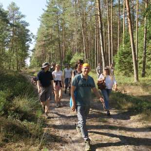 In der Lüneburger Heide