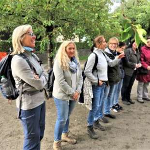Pilgern im Bergischen Land