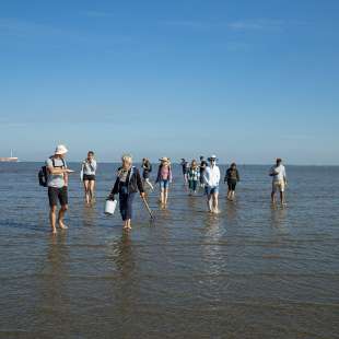 mit Eimer und Schippe ausgestattet: unser Guide Elfie – ©Barbara Harbecke