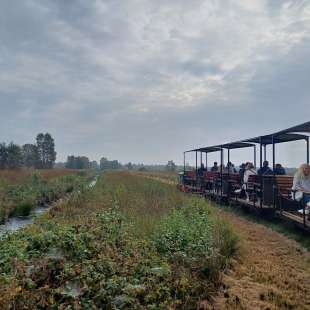 Moorbahn: wir erkunden das Ahlenmoor