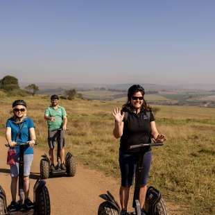 Fahrt durch das Tala Game Reserve: Ausflug in Südafrika