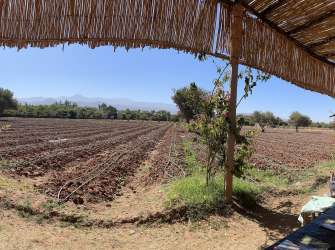 Safrangarten bei Marrakesch