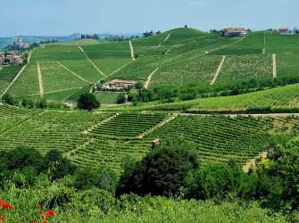 Piemont