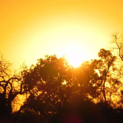 Sonnenaufgang im Nkasa Lupala
