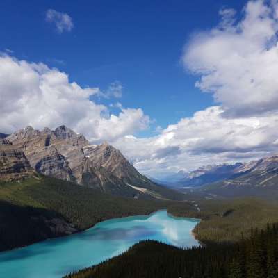 Peyto Lake - auf dem Weg von Banff nach Jasper