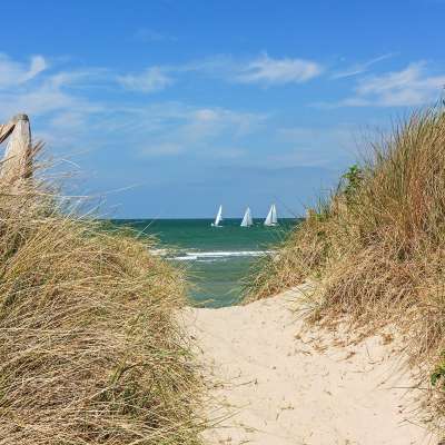 Weg durch die Dünen: Ostseestrand mit blauem Himmel