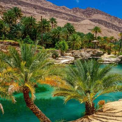 Desert Oasis Oman
