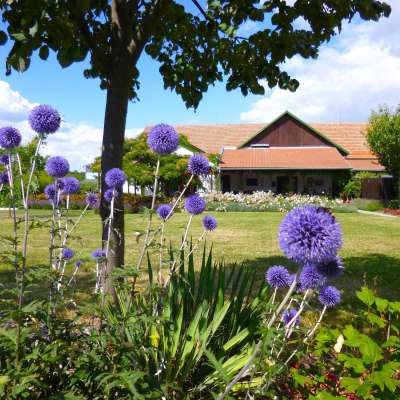 stilvoll umgebaut: ehemalige Getreidescheune in Tiszaderzs