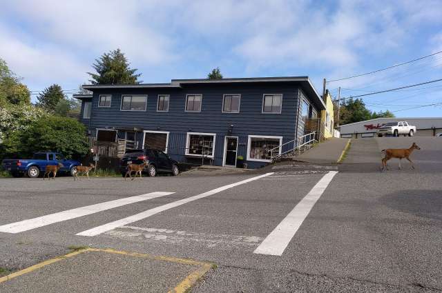 Ein Spaziergang durch Ucluelet – ©Umfulana, Janka Scriba & Eva Neumann