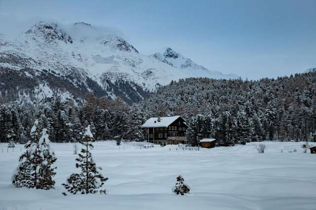 Idylle am St. Moritzsee - Lej da Staz – ©Barbara Harbecke