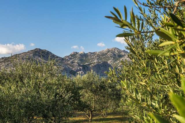 Paklenica Nationalpark