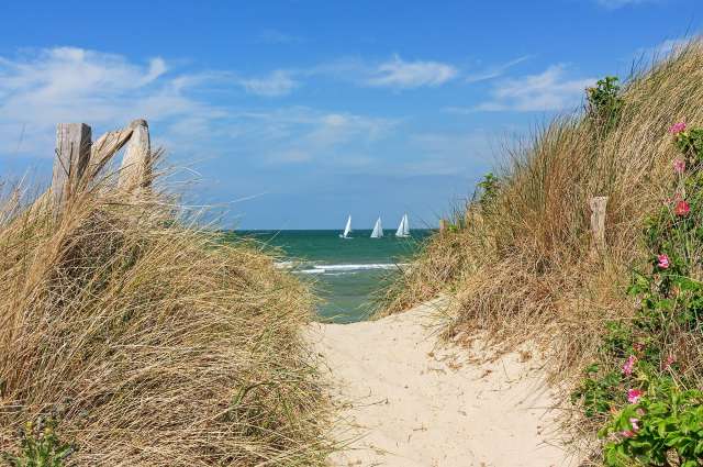 Weg durch die Dünen: Ostseestrand mit blauem Himmel