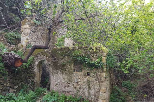 Die Natur erobert sich ein Tal zurück
