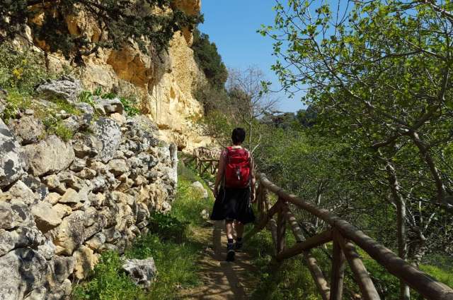 Auf dem Weg ins Mühlental