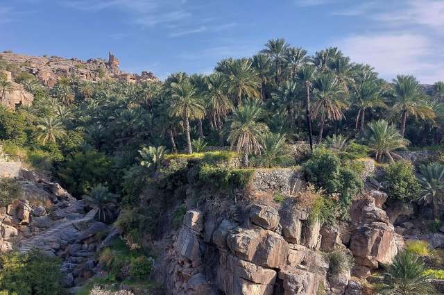 verschlungene Pfade: Misfat Al Abriyeen