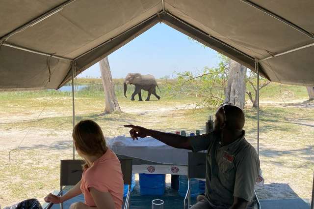 Besuch beim Mittagessen: Mobile Safari