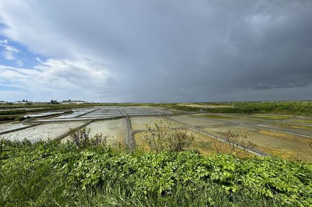 Salzfelder: Terre de Sel bei Guérande