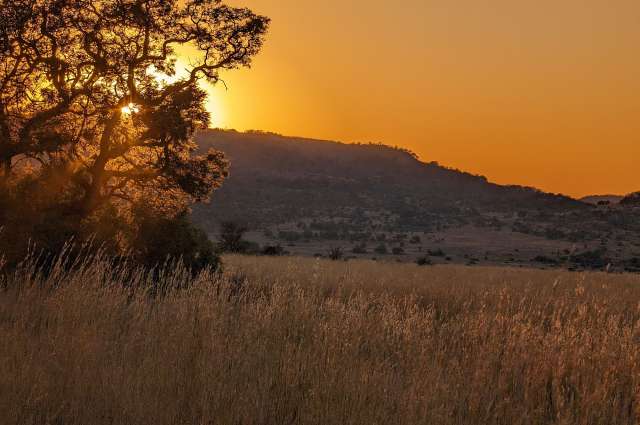 Sonnenaufgang im Pilanesberg Nationalpark