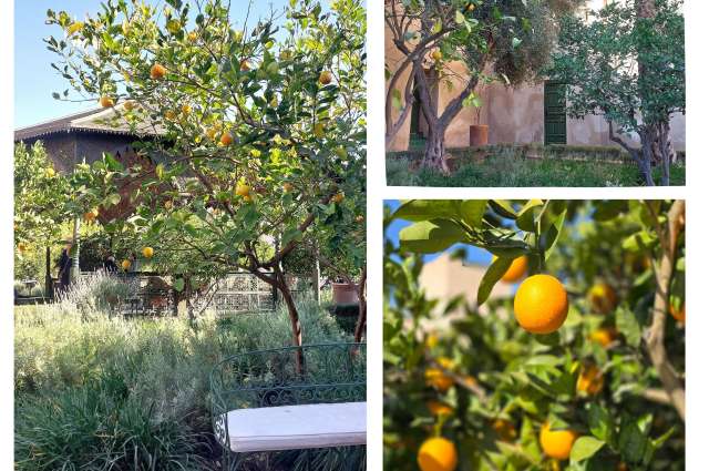 verstecktes Paradies: Jardin Secret