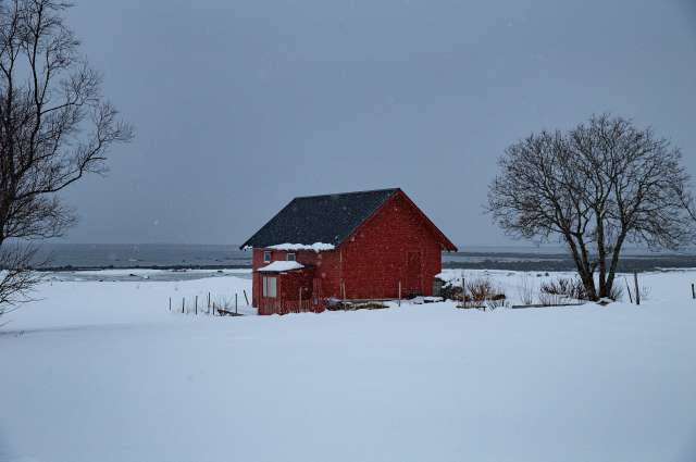 Neuschnee: Nordnorwegen in seiner ursprünglichen Form – ©Barbara Harbecke
