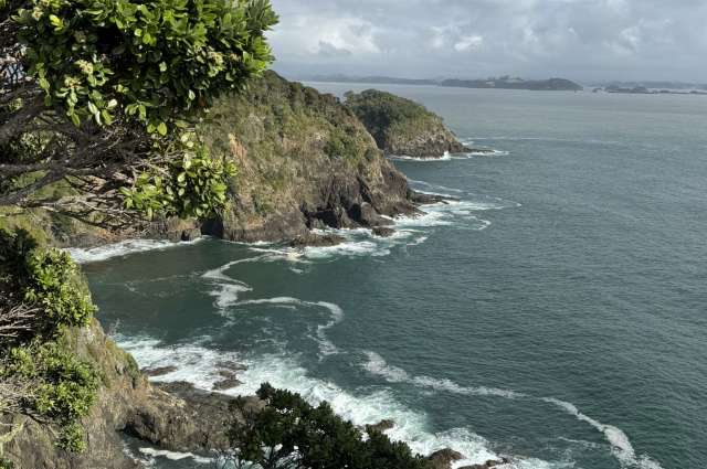 Bootsausflug in der Bay of Islands
