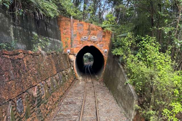 Driving Creek Railway
