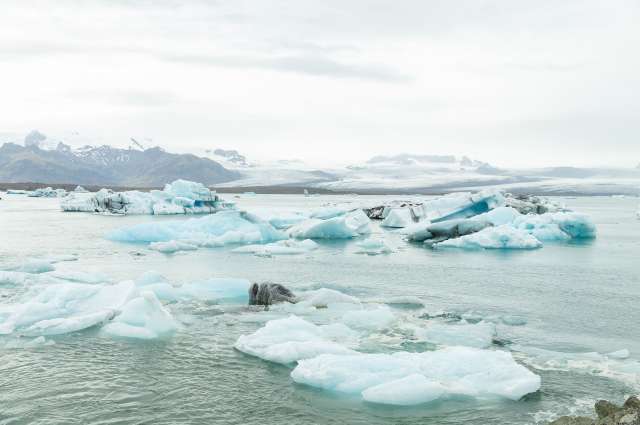 Immer wieder überrascht Island mit seinen vielen Facetten