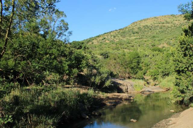 am Ufer des White Umfolozi: Babanango Game Reserve