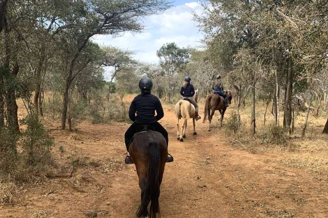 Perspektivwechsel: Safari auf dem Rücken der Pferde