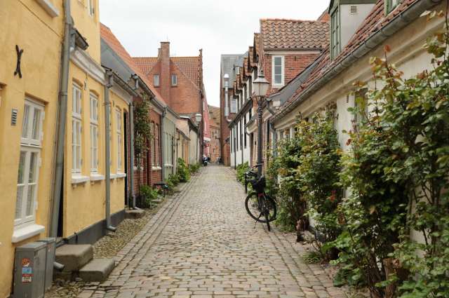 Ribe