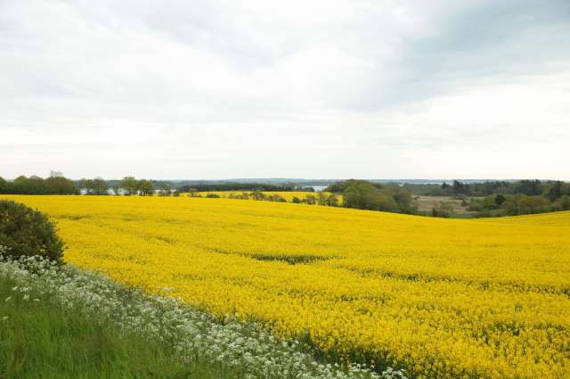 Idyllische Landschaften an der Margeritenroute