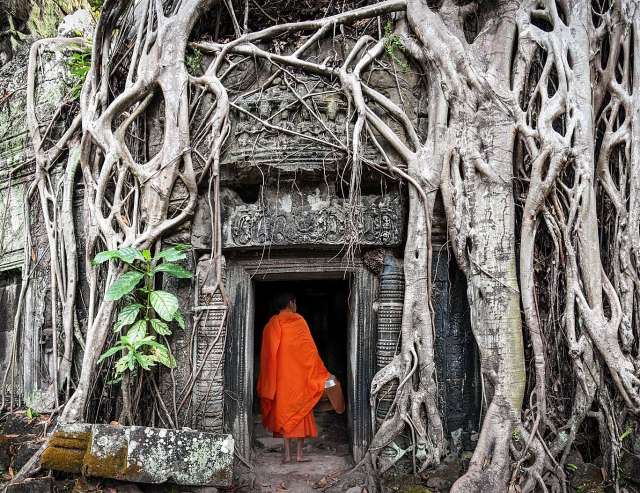 Ta Prohm: nördlich von Angkor Wat