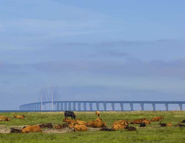fruchtbare Böden am Öresund: Schonen