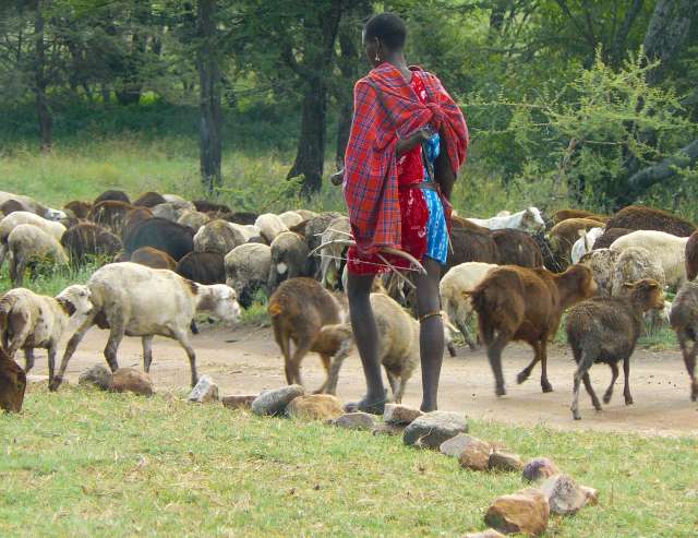 Massai am Rande der Serengeti