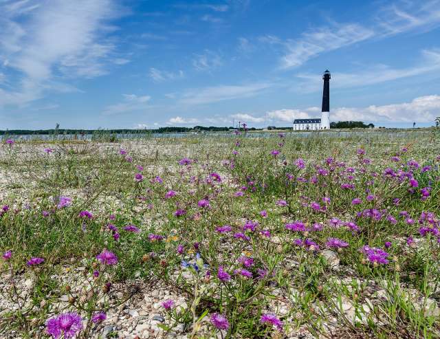 Saaremaa