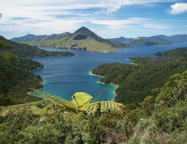 ertrunkenes Flusssystem: Marlborough Sounds
